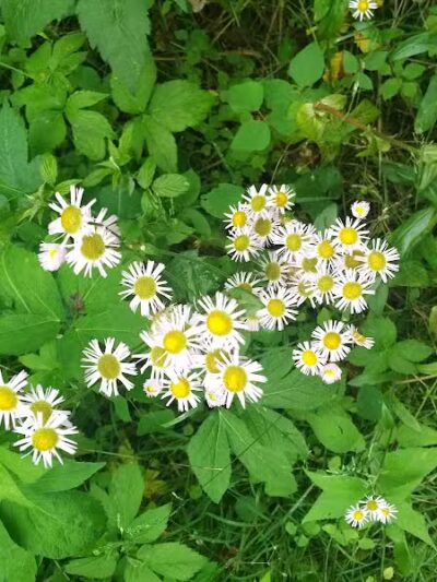 Boch Hollow State Nature Preserve, Office - Logan, OH