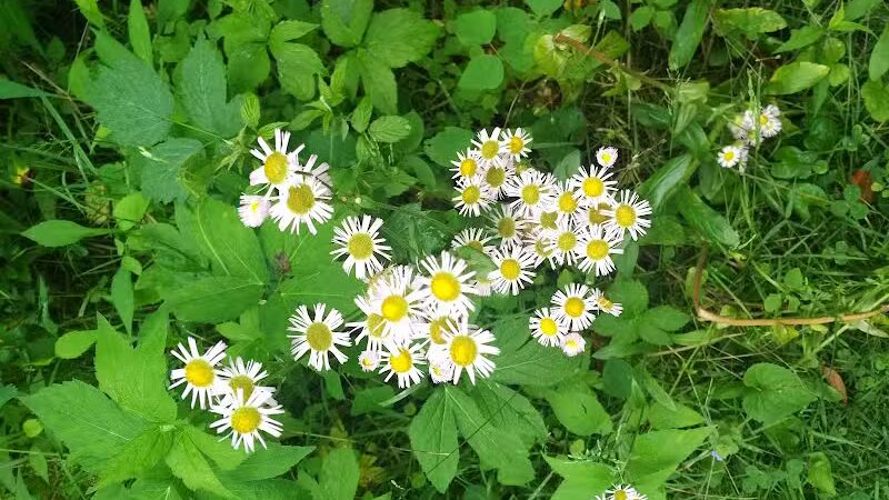Boch Hollow State Nature Preserve, Office - Logan, OH