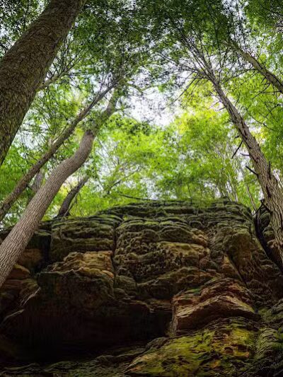 Cedar Falls Trailhead Parking - Logan, OH