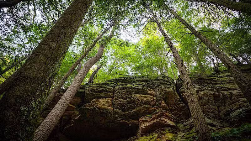Cedar Falls Trailhead Parking - Logan, OH