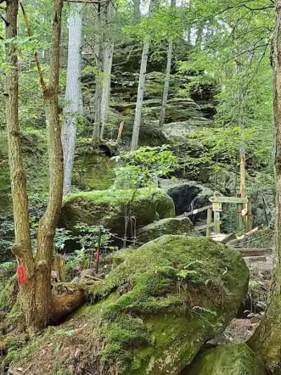 Cedar Falls Trailhead Parking - Logan, OH