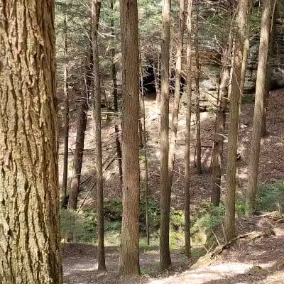 Chapel Cave Trail Head and Rappelling Area Parking - Logan, OH