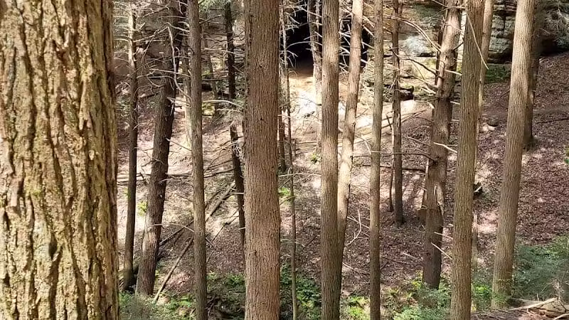 Chapel Cave Trail Head and Rappelling Area Parking - Logan, OH