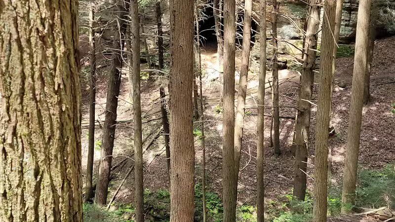 Chapel Cave Trail Head and Rappelling Area Parking - Logan, OH