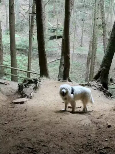 Chapel Cave Trail Head and Rappelling Area Parking - Logan, OH