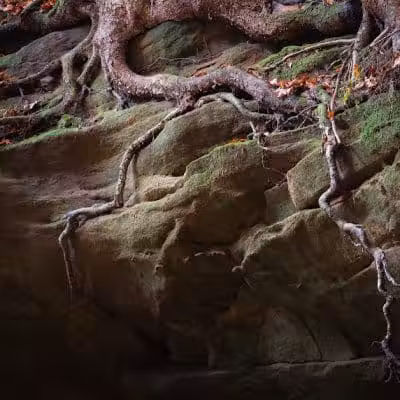 Chapel Cave Trail Head and Rappelling Area Parking - Logan, OH