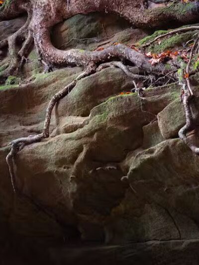 Chapel Cave Trail Head and Rappelling Area Parking - Logan, OH