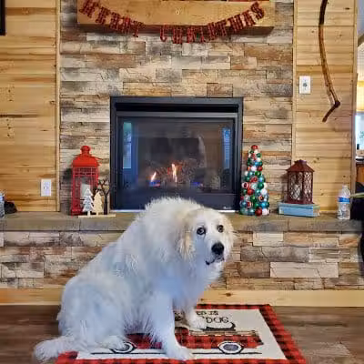 Dog Friendly Hocking Hills - Logan, OH