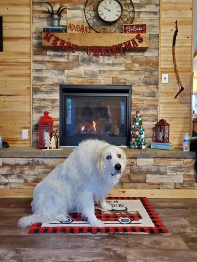 Dog Friendly Hocking Hills - Logan, OH