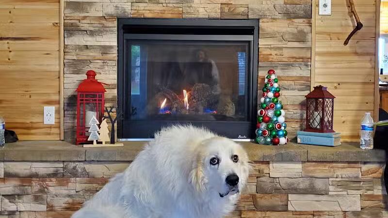 Dog Friendly Hocking Hills - Logan, OH