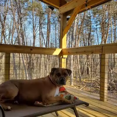 Dog Friendly Hocking Hills - Logan, OH