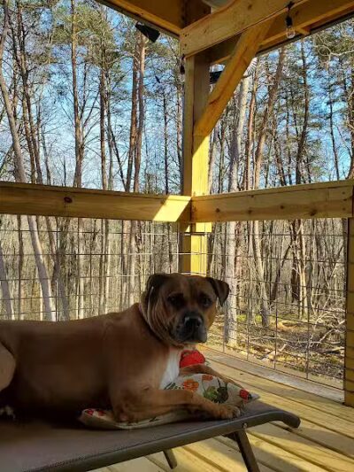 Dog Friendly Hocking Hills - Logan, OH