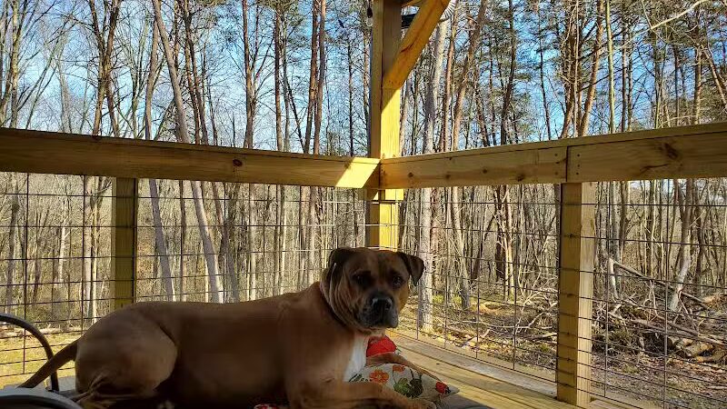 Dog Friendly Hocking Hills - Logan, OH