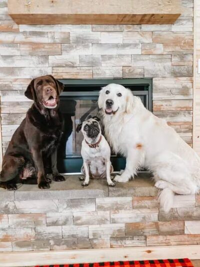 Dog Friendly Hocking Hills - Logan, OH