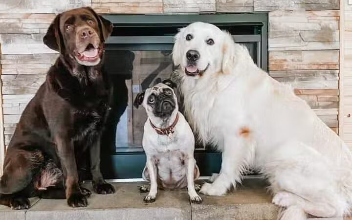 Dog Friendly Hocking Hills - Logan, OH