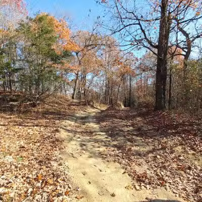 Dorr Run-Sycamore Trailhead - Logan, OH
