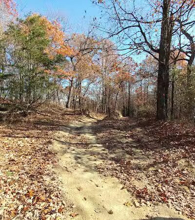 Dorr Run-Sycamore Trailhead - Logan, OH