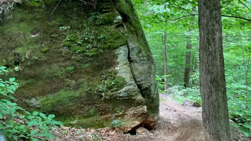 Dorr Run-Sycamore Trailhead - Logan, OH