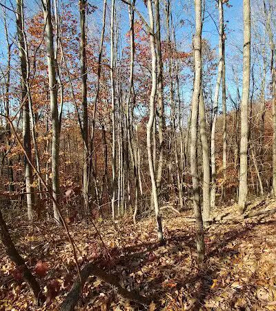 Dorr Run-Sycamore Trailhead - Logan, OH