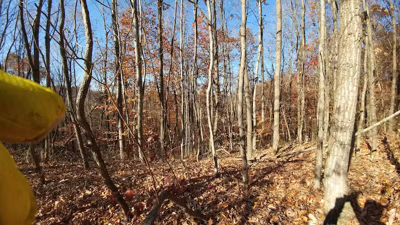 Dorr Run-Sycamore Trailhead - Logan, OH