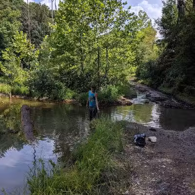 Dorr Run-Sycamore Trailhead - Logan, OH