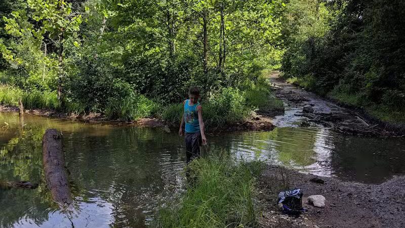 Dorr Run-Sycamore Trailhead - Logan, OH