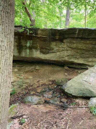 Dorr Run-Sycamore Trailhead - Logan, OH