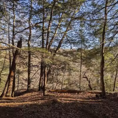 Hemlock Bridge Trail- Hocking Hills State Park - Logan, OH