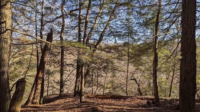 Hemlock Bridge Trail- Hocking Hills State Park - Logan, OH