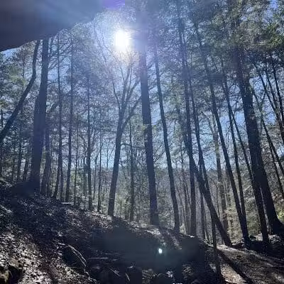 Hemlock Bridge Trail- Hocking Hills State Park - Logan, OH
