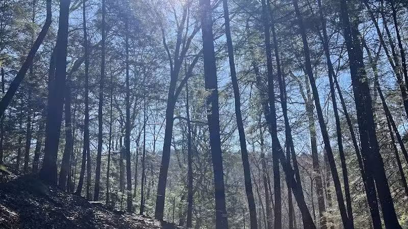 Hemlock Bridge Trail- Hocking Hills State Park - Logan, OH
