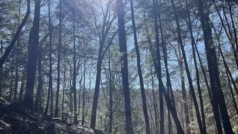 Hemlock Bridge Trail- Hocking Hills State Park - Logan, OH