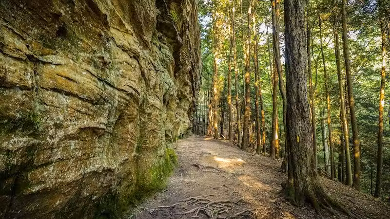 Hemlock Bridge Trail- Hocking Hills State Park - Logan, OH