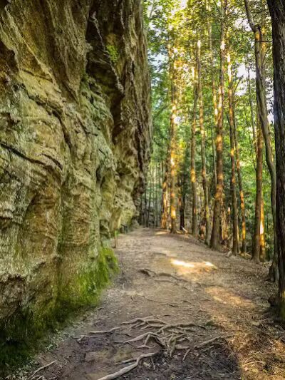 Hemlock Bridge Trail- Hocking Hills State Park - Logan, OH