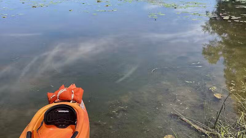 Lake Logan Beach - Logan, OH