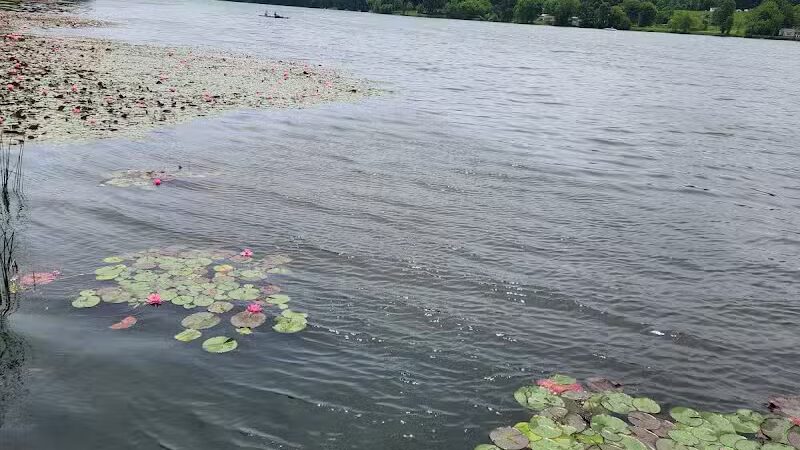 Lake Logan Beach - Logan, OH