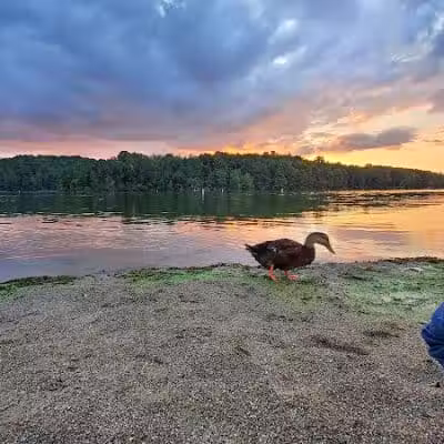 Lake Logan Beach - Logan, OH