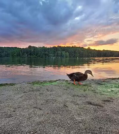 Lake Logan Beach - Logan, OH