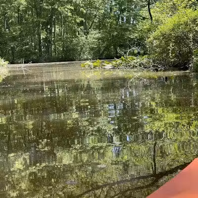 Lake Logan Beach - Logan, OH