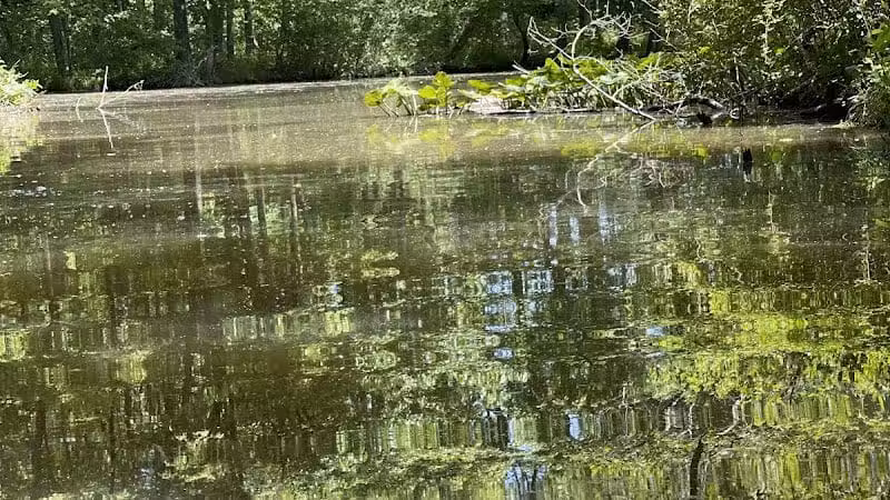 Lake Logan Beach - Logan, OH