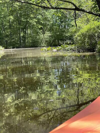 Lake Logan Beach - Logan, OH