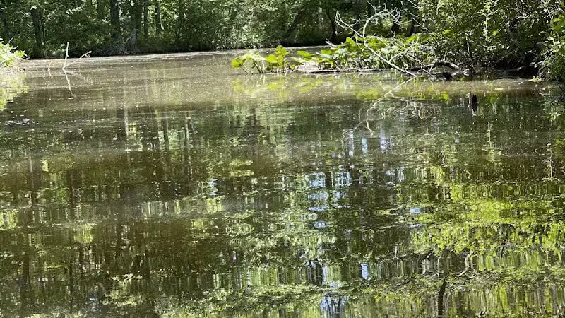 Lake Logan Beach - Logan, OH