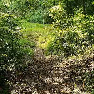 Old Town Creek Trail - Logan, OH