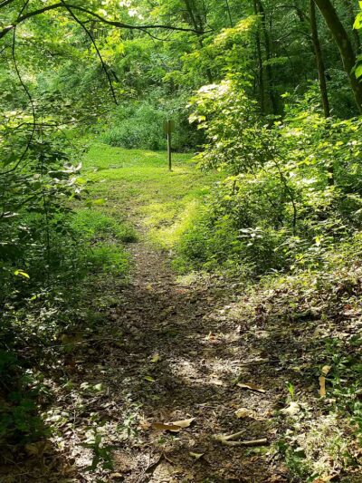 Old Town Creek Trail - Logan, OH