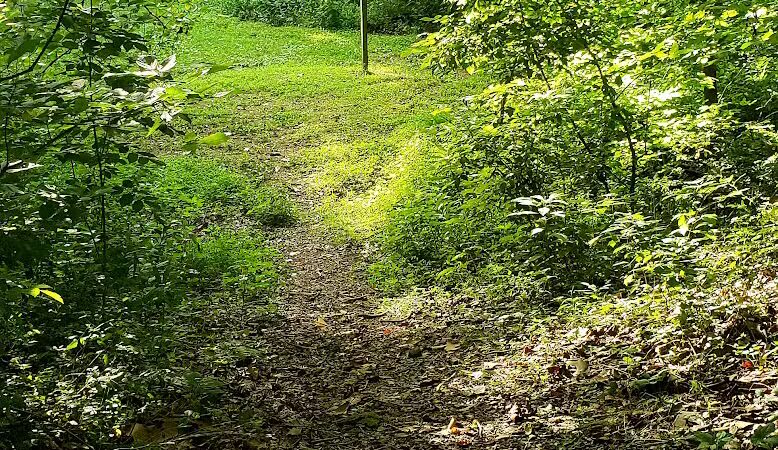 Old Town Creek Trail - Logan, OH