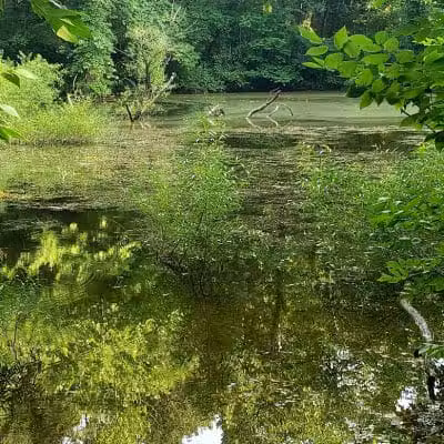 Old Town Creek Trail - Logan, OH