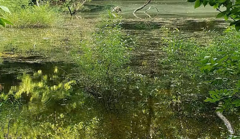 Old Town Creek Trail - Logan, OH