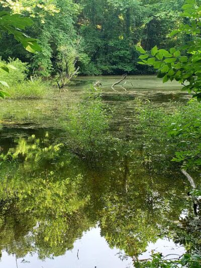 Old Town Creek Trail - Logan, OH