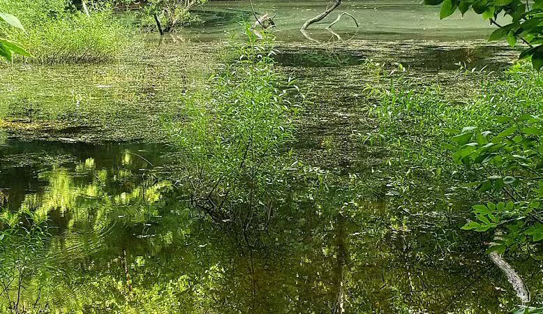 Old Town Creek Trail - Logan, OH