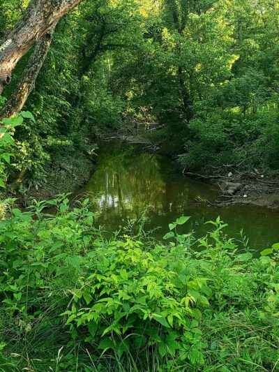 Old Town Creek Trail - Logan, OH